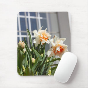 Tapis De Souris Délicat mignon daffodils printemps