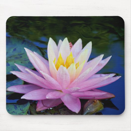 Tapis De Souris Délicat Nénuphar Mousepad (Devant)