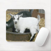 Tapis De Souris Délicieux ! (Avec souris)