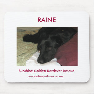 Tapis De Souris Délivrance de chien d'arrêt de Raine - de