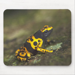 Tapis De Souris Dendrobate à bandes jaunes Dendrobates