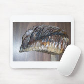 Tapis De Souris dent gigantesque impressionnante (Avec souris)