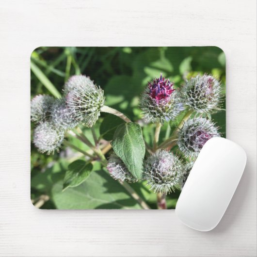 Tapis De Souris dentelle sur chardon (Avec souris)