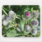 Tapis De Souris dentelle sur chardon (Devant)