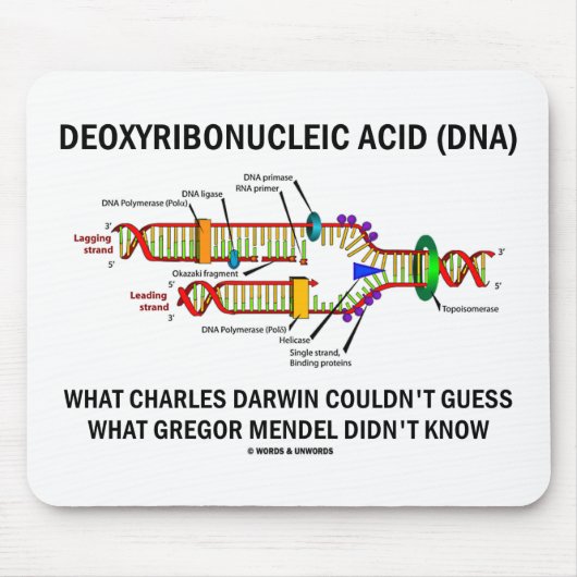 Tapis De Souris Deoxyribonucelic (ADN) Mendel acide Darwin (Devant)