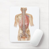 Tapis de souris d'épine de Netter (Avec souris)