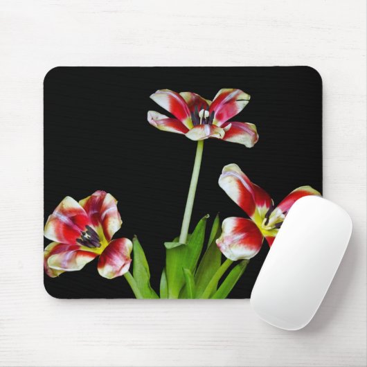 Tapis De Souris Déplacé (Avec souris)