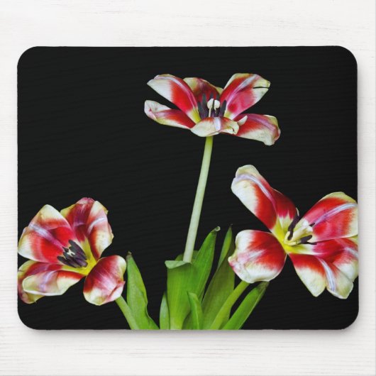 Tapis De Souris Déplacé (Devant)