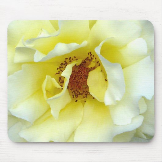 Tapis De Souris Dernier Rose d'été (Devant)