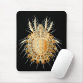 Tapis De Souris Des acarides (Avec souris)