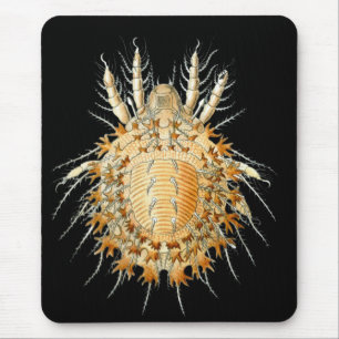 Tapis De Souris Des acarides