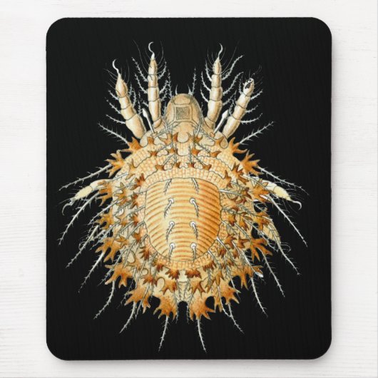 Tapis De Souris Des acarides (Devant)