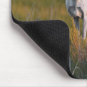 Tapis De Souris Des cerfs communs blancs plus doux 2 (Coin)