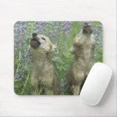 Tapis De Souris Des Chiots Loups hurlent dans la prairie (Avec souris)
