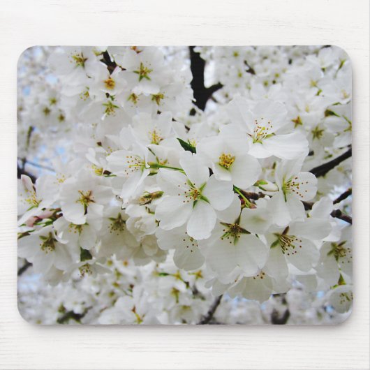 Tapis de souris des fleurs de cerisier 3 (Devant)