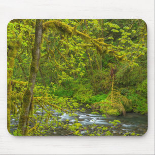 Tapis De Souris Des rochers et des arbres mousses bordent Eagle Cr