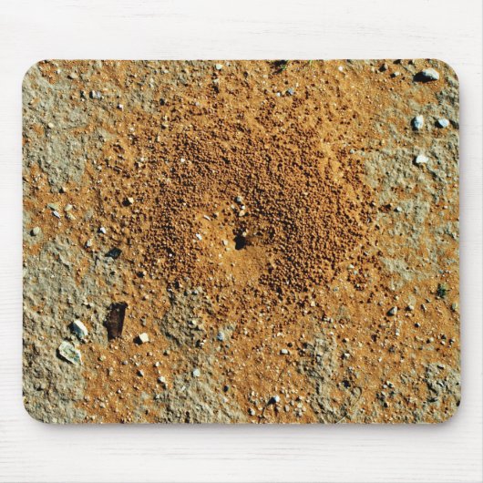 Tapis De Souris Desert Anthill (Devant)