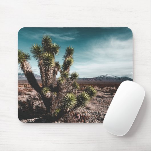 Tapis De Souris Deserts | Cholla Cactus (Avec souris)