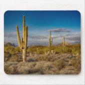 Tapis De Souris Deserts | Superstition Mountains, Arizona (Devant)