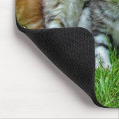 Tapis De Souris Design - Cute chatons (Coin)