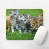 Tapis De Souris Design - Cute chatons (Avec souris)