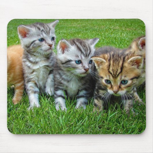 Tapis De Souris Design - Cute chatons (Devant)