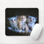 Tapis De Souris Design - Cute Kittens (Avec souris)