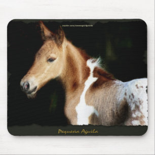 Tapis De Souris Design équin amateur de chevaux