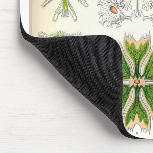 Tapis De Souris Desmid Mousepad (Coin)