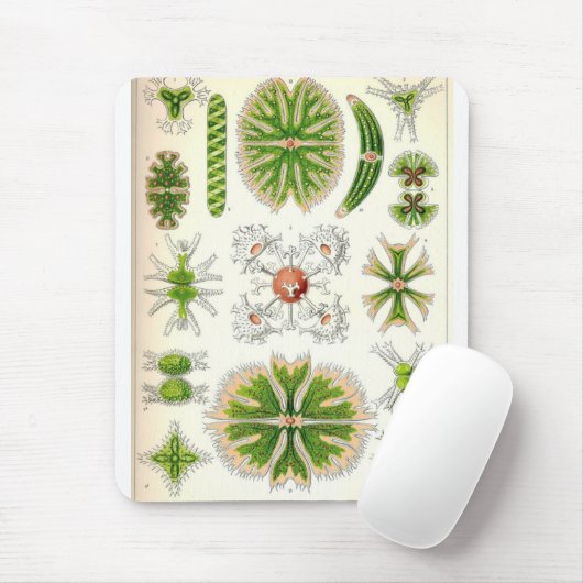 Tapis De Souris Desmid Mousepad (Avec souris)