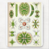 Tapis De Souris Desmid Mousepad (Devant)