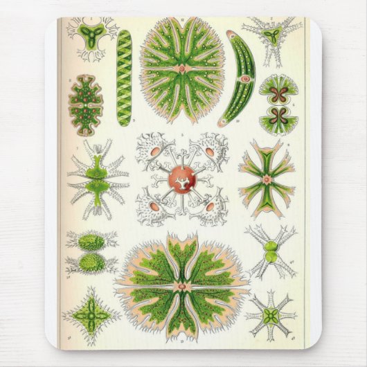 Tapis De Souris Desmid Mousepad (Devant)