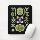 Tapis De Souris Desmids (Avec souris)