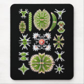 Tapis De Souris Desmids (Devant)