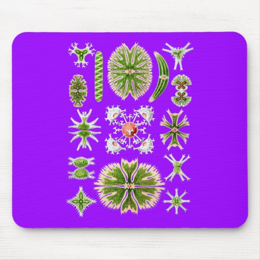 Tapis De Souris Desmids (Devant)