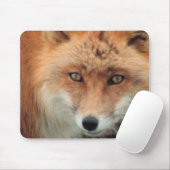 Tapis de souris d'espèces de Fox (Avec souris)
