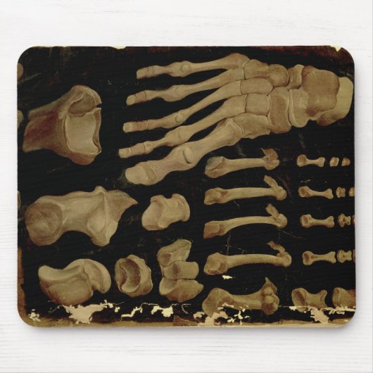 Tapis De Souris Dessin anatomique des os du pied (Devant)