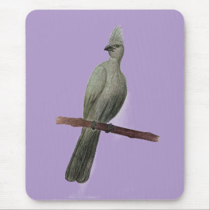 Tapis De Souris Dessin au crayon d'oiseau gris