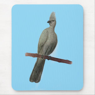 Tapis De Souris Dessin au crayon d'oiseau gris
