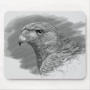 Tapis De Souris Dessin Harris Hawk