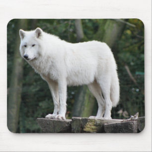 Tapis De Souris Destin animal d'amour de paix de nature de loup