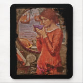 Tapis De Souris Destiny a Potion (Devant)