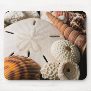 Tapis De Souris Détail de coquillages du monde entier