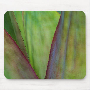 Tapis De Souris Détail de la plante d'Agave