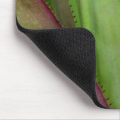 Tapis De Souris Détail du Plante Agave (Coin)