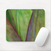 Tapis De Souris Détail du Plante Agave (Avec souris)