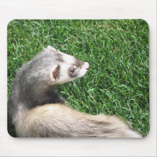 Tapis De Souris Détente
