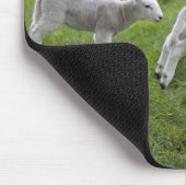 Tapis De Souris Deux agneaux (Coin)