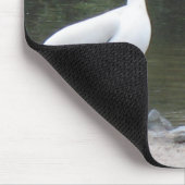 Tapis De Souris Deux anciens amis Pélicans (Coin)