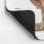 Tapis De Souris Deux cerfs à queue blanche en alerte (Coin)